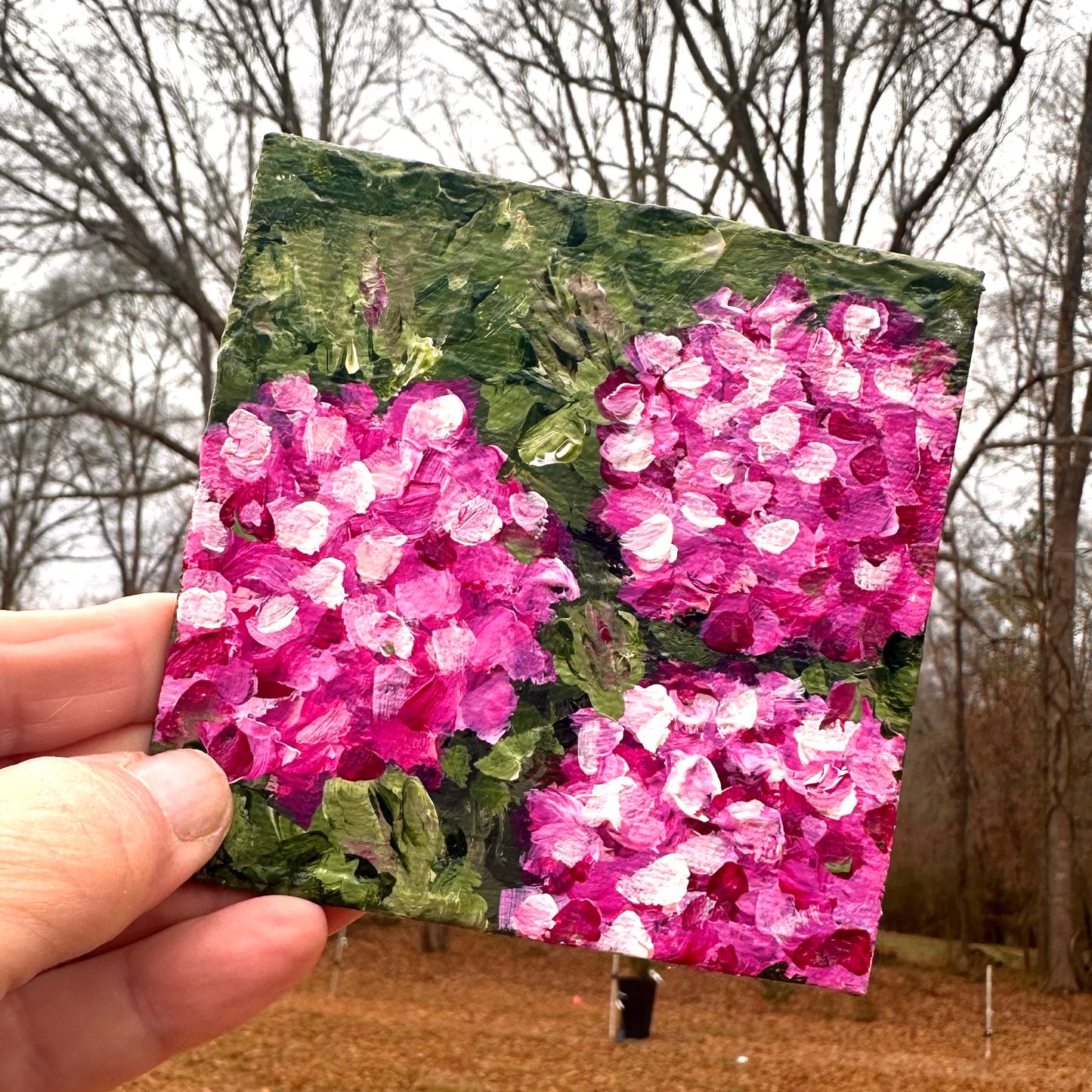 "Pink Morning Petals" — Original 4x4 Pink Hydrangea Painting