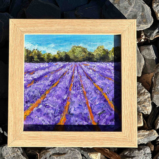 "Lavender Festival" Original Art On Canvas 5X5