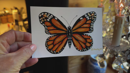 Wings of Grace